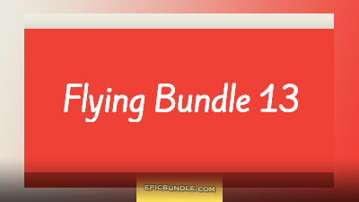 Flying Bundle 13