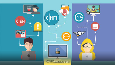 The Professional Ethical Hacker Bundle