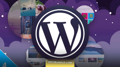 Wpbasin Ultimate WordPress Bundle