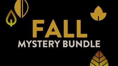 Fanatical - FALL Mystery STEAM Bundle