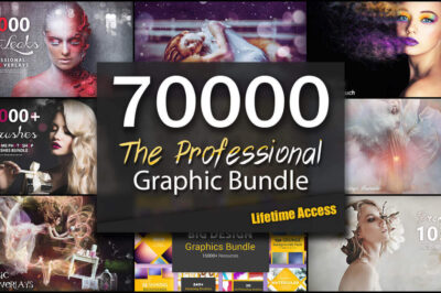 The Pro 70,000+ Graphics Bundle