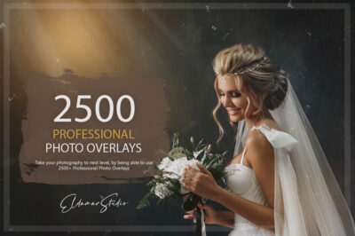 2500+ Professional Photo Overlays Bundle